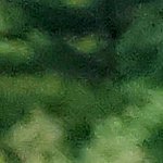 20210820_115751 - Catherine Aguilar-Sandoval.jpg