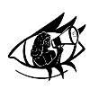 eye 1_adobespark (1).png